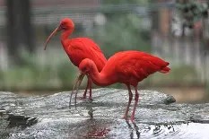 誁?!汔-电竞投注平台